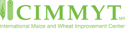 CIMMYT logo